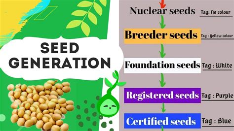 nucleus seed tag colour|Generation system of seed multiplication; maintenance of .